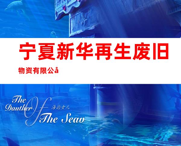 宁夏新华再生废旧物资有限公司